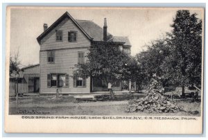 c1905 Cold Spring Farm House Loch Sheldrake New York NY Antique Vintage Postcard