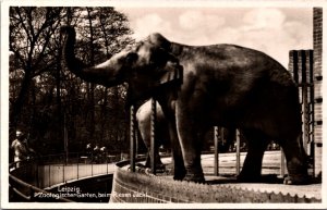 Leipzig Zoologischer Garten Elephant Vintage Postcard C010