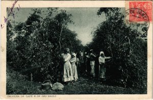 PC CPA BRAZIL, COLHEITA DE CAFÉ E DE SAO PAULO, VINTAGE POSTCARD (b11478)