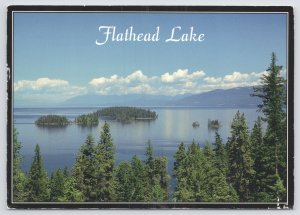 Montana~Air View Flathead Lake From Finley Point~Continental Postcard