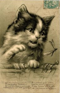 PC CPA CAT, CAT PLAYING WITH A DRAGONFLY, VINTAGE EMBOSSED POSTCARD (b3852)