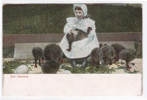 Beautiful Young Girl with Ostrich Chicks 1910c postcard