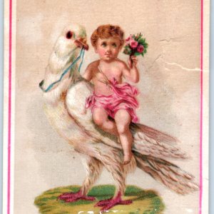 c1880s Albee's Midget Oyster Crackers Trade Card Cute Girl Riding Dove Bird C43