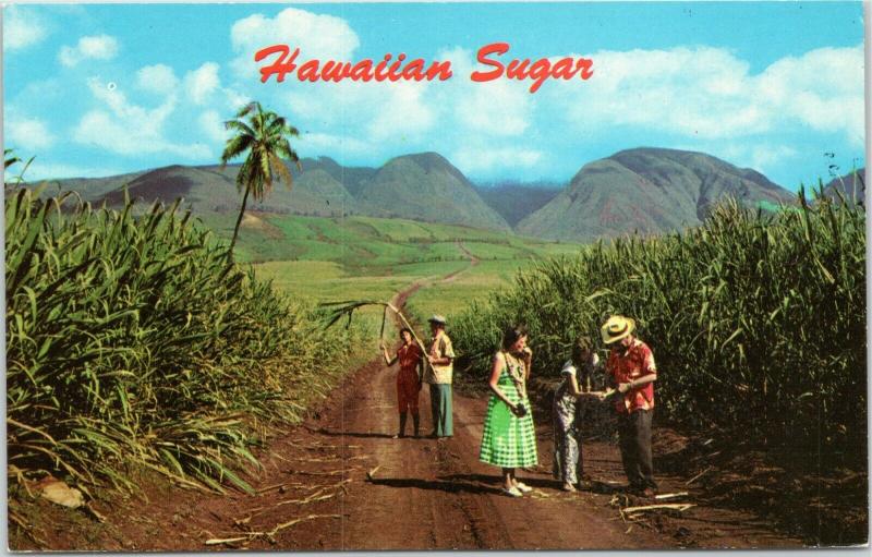 postcard Hawaii HI - tourists in Sugar fields