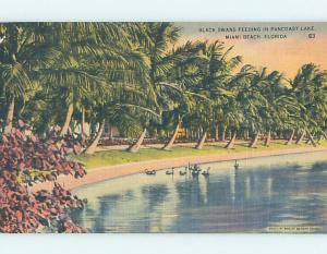 Linen BLACK SWANS AT LAKE Miami Beach Florida FL HM9948