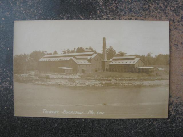 BUCKSPORT MAINE TANNERY c1915 Real Photo Postcard