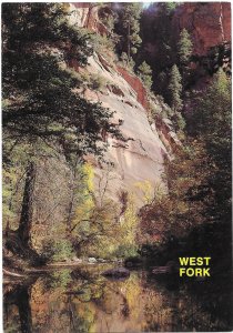 The West Fork Hiking Trail in Oak Creek Canyon near Sedona Arizona  4 by 6