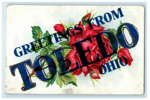 1909 Rose Flower Printed Greetings From Toledo Ohio OH Glitter Posted Postcard