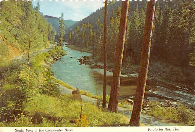 South Fork - Idaho