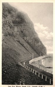 Vintage Postcard Cap Gros Morne Gaspe Quebec Canada H. V. Henderson Pub.