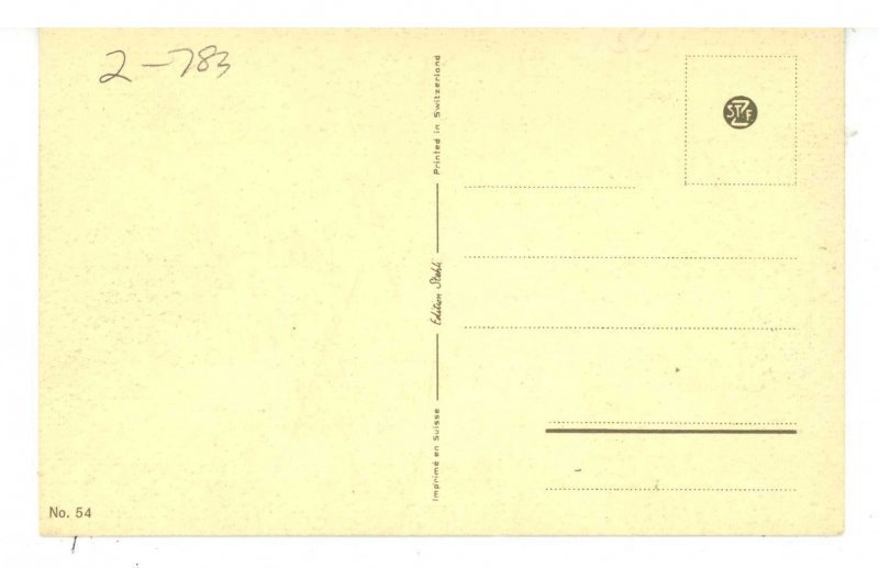 Birds - Wild Turkey and Chicks