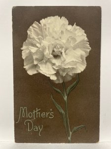1912 Mother's Day Carnation Postcard - Holly MI Postmark Westminster Press