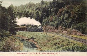 Steam Locomotive, Oneonta NY, U & D RR, Train Along River Bank, pre-1907