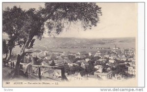 Vue Entre Les Oliviers, Alger, Algeria, Africa, 1900-1910s