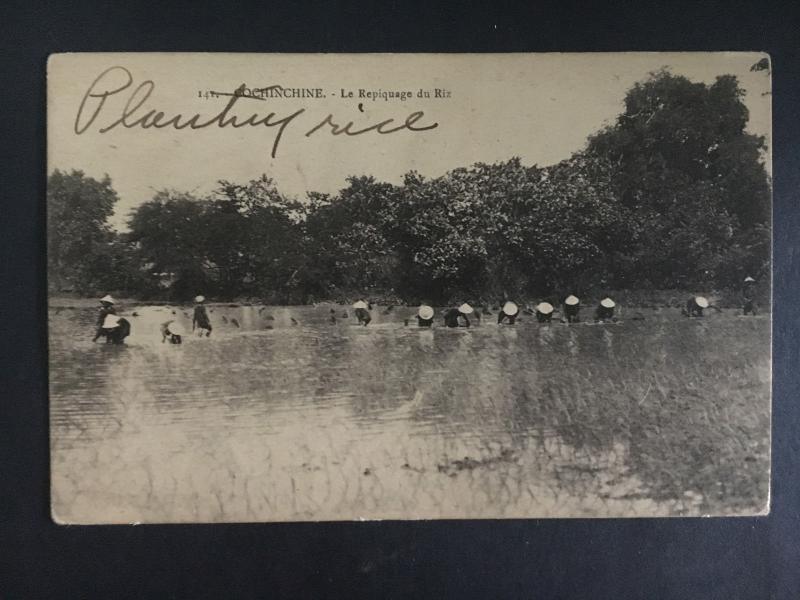 Mint Vietnam RPPC Real Picture Postcard Peasants Planting Rice