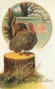 1908 Thanksgiving Greetings Artist impression Postcard Turkey Fortune 22-9064