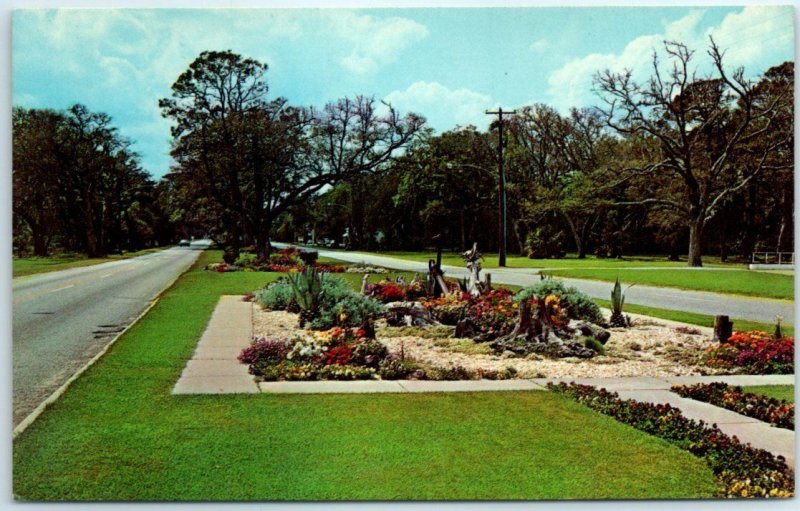 Postcard - Beautiful Flower Along Highway and Entrance to Jekyll Island, Georgia