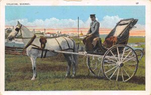 Caleche Horse Buggy Quebec Canada 1920s postcard