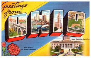 Ohio Buckeye State LARGE LETTER