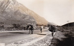 Mexico Monterrey Carreta Villa de Santiago Real Photo