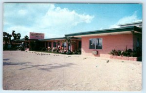 DAYTONA BEACH, Florida FL~ Roadside SEA WINX MOTEL c1950s-60s  Postcard