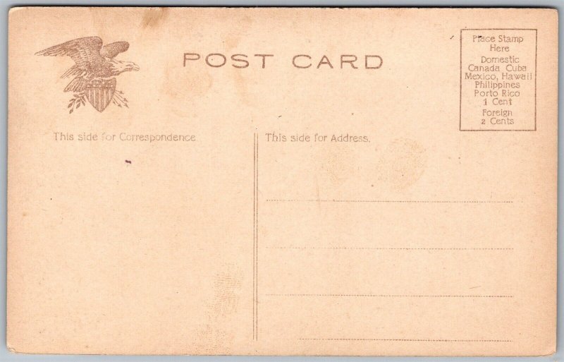 Vtg Montgomery Alabama AL State Capitol 1910s Old View Divided Back Postcard