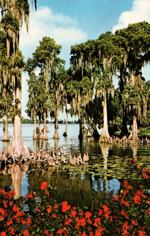 Cypress Gardens,FL