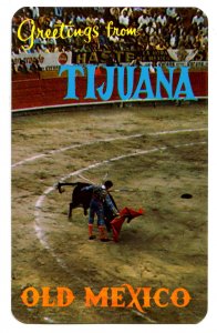 Mexico - Tijuana, Baja California. Bullfight