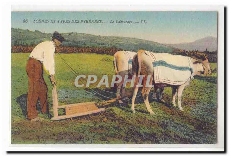 Scenes and types of the Pyrenees Old Postcard Plowing (oxen) TOP
