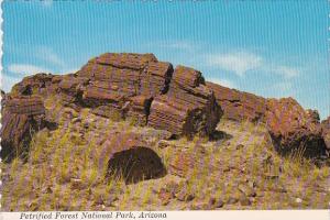 Petrified Forest National Park Arizona