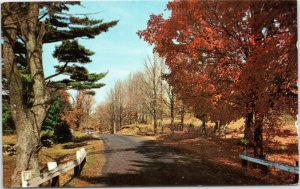 Along the Mohawk Trail - autumn foliage , Massachusetts postcard