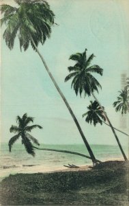 Sri Lanka Ceylon Palms on Sea Shore Colombo 06.43