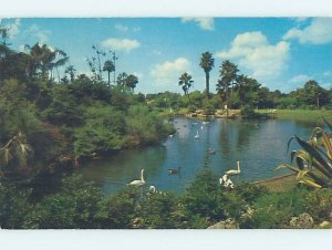 Pre-1980 BUSCH GARDENS Tampa Florida FL AF9731