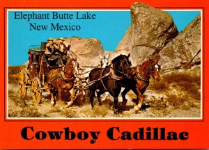 New Mexico Elephant Butte Lake Cowboy Cadillac Stagecoach