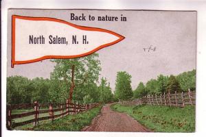 North Salem, Back to Nature, Pennant Series, New Hampshire, Nice Cancel