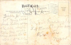 Figs and Oranges  Brooksville FL