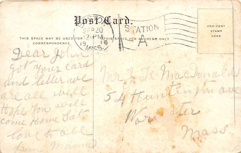 Figs and Oranges  Brooksville FL