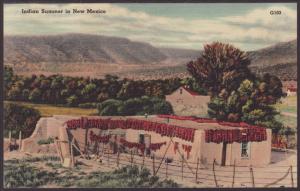 Indian Summer in New Mexico Postcard