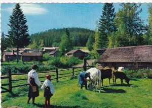 Sweden Stockholm Dalecarlia Wandering In The Pastures