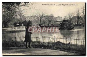 Old Postcard Montelimar swans on the lake