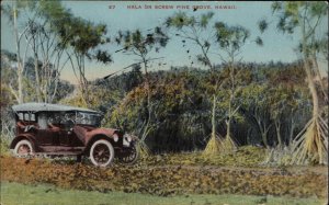 Pine Grove Hawaii HI Car c1900s-20s Postcard