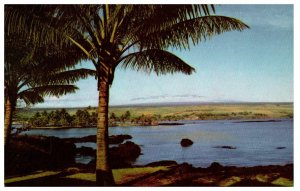Hilo Harbor on the east coast of Hawaiis largest island Hawaii Postcard