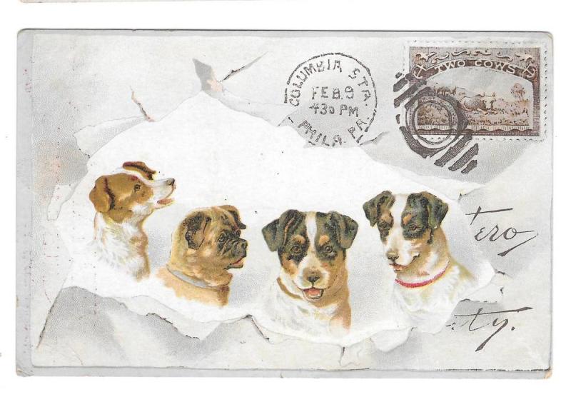 Chicago Cottage Organs Victorian Trade Card Dogs Postcard