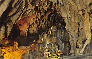 The Petrified Forest, World Famous Indian Caverns Spruce Creek, Pennsylvania PA