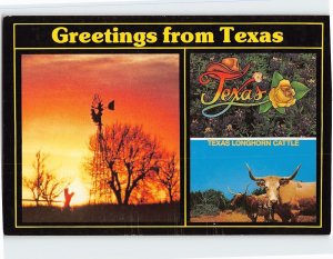 Postcard Greetings from Texas