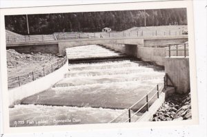 Oregon Fish Ladder Bonneville Dam  Columbia River Highway Real Photo