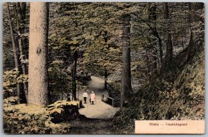 Pillnitz Dresden Germany c1910 Postcard Friedrichsgrund Forest Trail