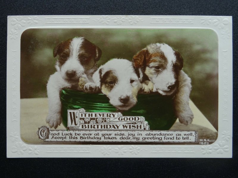 BIRTHDAY WISH Birthday Greetings TERRIER PUPPIES Dog Breed c1930s RP Postcard