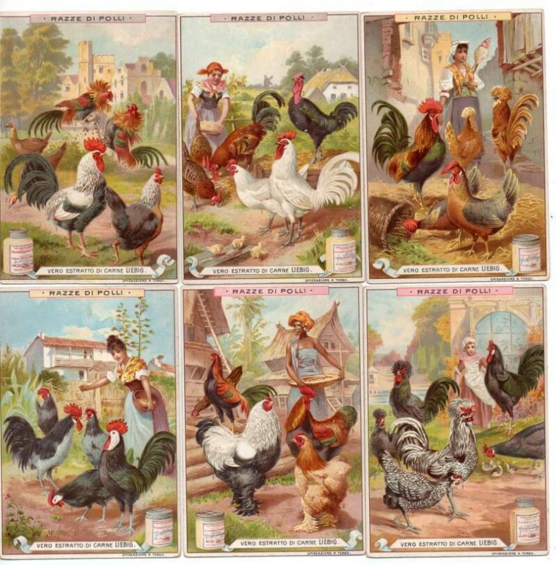 Group of 6 Liebig Flesch Extract Chicken Farms Vintage Trade Cards AA48387