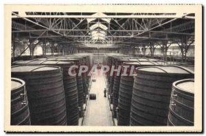 Old Postcard Folklore Wine Harvest Chais Byrrh has Thuir Six rows of tanks
